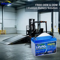 Batería de Manejo de Materiales de Grado A con Celdas LFP de 12V 150AH, Alta Potencia y Rendimiento para Vehículos Industriales, Certificaciones CE, MSDS, IP67 y RoHS