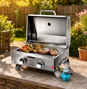 Grill a Gas Propano in Acciaio Inossidabile per Cucina, Affumicatore ad Alta Temperatura, Barbecue da Esterno a 2 Bruciatori, Griglia Portatile a Gas per Campeggio - Product Image 1