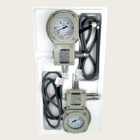 High Quality Explosion Proof IP66 DC24V Temperature Gauge Bearing Temperature Meter 0-200C 4-20mA Remote Reading Temperature
