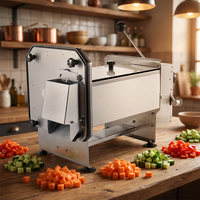 Roestvrijstalen groenten snijmachine voor pizzeria's, groentesnijder