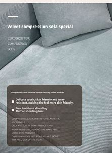 Sofá Cama Plegable, Moderno, Modular, Seccional, Reclinable, con Cubierta de Tela, Embalaje al Vacío, Sin Patas - Product Image 3