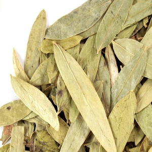Poudre d'extrait botanique pur de feuilles de séné – Ingrédient végétal premium pour formules bien-être, compléments alimentaires et produits naturels - Product Image 2