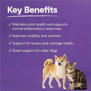 วิตามินรวมสำหรับสุนัขแบบเคี้ยว OEM 11 in 1 พร้อมกลูโคซามีน วิตามินเสริมป้องกันโรคสำหรับสุนัข วิตามินบี1 บี6 บี<span class=keywords><strong>12</strong></span> คอนดรอยตินสำหรับสัตว์เลี้ยง เสริมสร้างสุขภาพและภูมิคุ้มกัน - Product Image 6