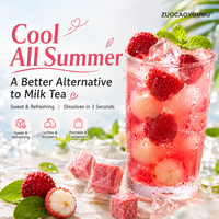 Cubo de Té Instantáneo con Sabor a Bayas y Lichi, con Fruta Seca Congelada, Bloque de Té de Frutas para Preparación en Frío, Servicio OEM, 85g