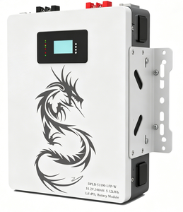 Batería de Pared LiFePO4 Dragon Power DPLB-51100-LFP 51.2V 100Ah 5.12kWh - Product Image 6
