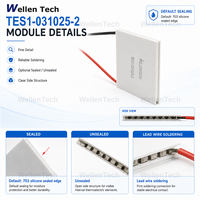 Module de contrôle thermique TEC léger Bi2Te3 WellenTech TES1-031025-1, 10x10x2.5 mm, 5.43 W, avec fils pour photodiode