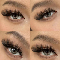 Cils en Vison 3D Naturels Effet Aile d'Ange Foxy Winged Cat Eye, Faux Cils à Marque Privée, Vente Chaude