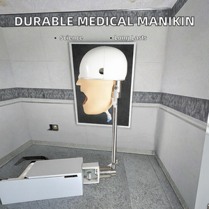 Mannequin de formation à l'intubation fixe sur le bureau avec support pour l'enseignement médical - Product Image 3