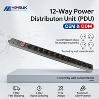 Allemagne 12-Way Power Distribution Unit (PDU) Socket avec interrupteur Protection contre les surcharges-Rack Equipment