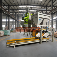 Pasokan Pabrik Mesin Pencampur Pita Bubuk Plester Dinding Kering Premix
