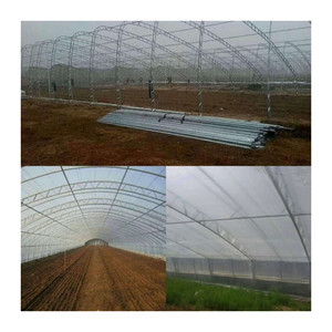 Serre commerciale à travée unique pour légumes Couverture de maison verte de grande taille Producteur chinois pour la culture de serre de tunnel - Product Image 4