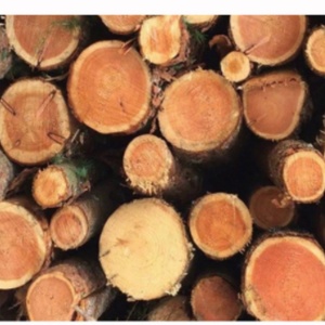 สมุดโน้ต Boshiho Eco-Friendly Cork A5 100 แผ่น ปกแข็ง กระดาษมีเส้นบรรทัด พร้อมสายรัดยางยืด สำหรับจดบันทึกและไดอารี่ - Product Image 2