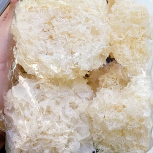 Hongo de Nieve Seco Saludable, Hongo Comestible Blanco Natural de Vietnam - Product Image 1