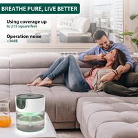 Humidificateur évaporatif à grain de bois avec aromathérapie pour la maison et l'hôtel