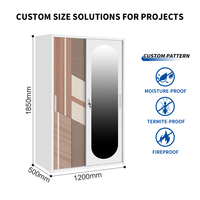 Armoire de chambre à coucher en acier à 2 portes coulissantes de couleur personnalisée avec miroir incurvé, grand rangement pour vêtements, fabrication OEM ODM