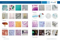 Ensemble de 25 Lames de Microscope Biologique Préparées pour Laboratoire Éducatif – Tissus Végétaux et Animaux – Microscope Pédagogique CE/ISO/ROHS