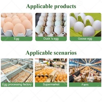 La Chine fabriqué niveleuse caille emballage automatique peser classificateur tri oeuf classement Machine pour à Egge