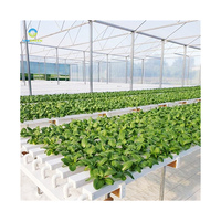 Systèmes de culture hydroponique NFT Gully en PVC de qualité alimentaire pour la culture agricole – Canaux NFT