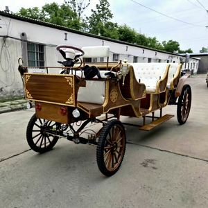 Chariot de mariage électrique populaire de style Victoria, calèche de luxe en bois à 6 places avec pneus en caoutchouc massif pour transport spécial - Product Image 1