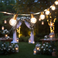 Guirlandes lumineuses LED G40 étanches de 25 pieds et lumières en plastique pour la décoration extérieure de jardin, de la Saint-Valentin, de mariage et de fête
