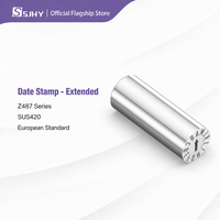 SJHY Z487 Tampon de date interchangeable de type long en acier inoxydable SUS420, insert de marquage de date pour moule compatible HASCO, précision pour cavités profondes