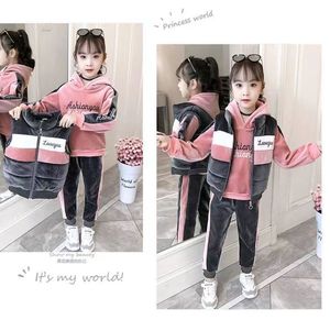 Conjuntos de Ropa Casual Abrigada de 3 Piezas para Niñas al por Mayor, Sudaderas, Pantalones y Chaleco de Forro Polar de Algodón Estilo Urbano para Temporadas de Primavera e Invierno - Product Image 2