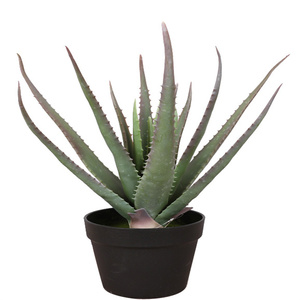 Suculentas artificiales Estilo nórdico ins interior sala <span class=keywords><strong>de</strong></span> estar tienda ventana decoración simulación aloe <span class=keywords><strong>vera</strong></span> en maceta - Product Image 1