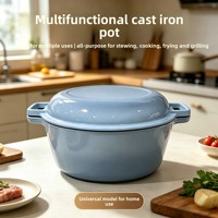 Casserole en fonte émaillée, faitout 2-en-1 avec couvercle, antiadhésif, résistant à la chaleur, pour 3 à 6 personnes, compatible induction et four