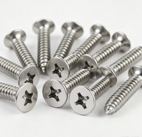 304 Stainless Steel Phillips Self Tapping Screws High Precision Fastener