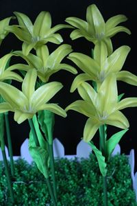 Led jardin étanche éclairage extérieur Noël vacances plaza paysage décoration lampe à fleurs - Product Image 6