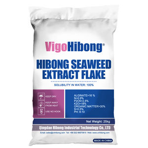 استخراج الأعشاب البحرية العضوية في مسحوق الحبيبية شكل رقائق من نوع الأحماض الأمينية - Product Image 4