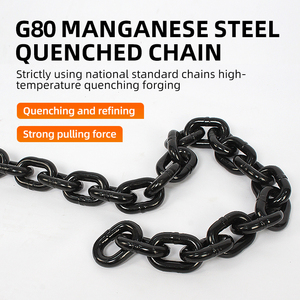 Nhà Máy Bán tay chian <span class=keywords><strong>hoist</strong></span> 0.75t Nâng Công suất của nhãn hiệu chian <span class=keywords><strong>hoist</strong></span> LEVER chuỗi khối - Product Image 6