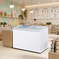 Congelador Comercial de Gran Capacidad para Helados con Puerta Corredera de Vidrio para Minoristas de Alimentos Congelados