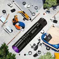 Lampe torche UV professionnelle 365 nm, mini lampe LED, chasse aux scorpions, détection de devises, détection de fuites, détecteur d'urine d'animaux