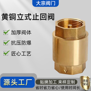 Válvula de Retención Vertical de Cobre Tipo Resorte de 1 Pulgada (4/6) para Tuberías de Agua Potable, Estructura de Lóbulo Único, Flujo Unidireccional - Product Image 5