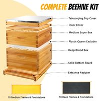 Ruche à 10 cadres complète, kit de ruche avec cire d'abeille, incluant cadres et feuilles de fondation, pour tous les niveaux d'apiculture