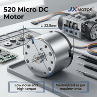 Moteur CC miniature 24V 520 à aimant permanent brossé haute vitesse pour robot, appareil ménager, jouet, personnalisé