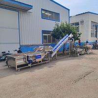 Automatische kleine tomatenpuree productielijn 500kg/u kant-en-klare ketchupverwerkingsinstallatie SUS304 roestvrij staal Jiarun merk 1 jaar garantie