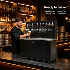 Distributeur <span class=keywords><strong>de</strong></span> <span class=keywords><strong>bière</strong></span> commercial, options <span class=keywords><strong>de</strong></span> capacité 20L, 30L, 50L pour les événements et fêtes à fort volume - Product Image 6