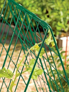 Cadre pliable en treillis de concombres, encadrement de plante de jardin - Product Image 5