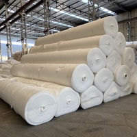 Tissu géotextile non tissé en PP de qualité supérieure pour les applications écologiques de protection des sols, de drainage et de murs de soutènement