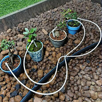 Kit d'égouttoir à flèche 2 voies 4 voies, émetteur d'eau, égouttoir à flèche courbé, égouttoir 2L 4L 8L pour l'irrigation goutte à goutte en serre