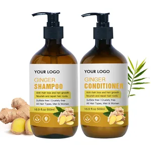 Shampoo e condicionador de cabelo personalizado oem, etiqueta natural de umidade, anticabelo, gengibre, conjunto orgânico de 250ml