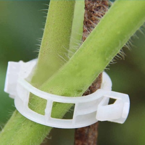 Clips de fixation pour serre, outil pour fixer les vignes, 100 pièces, en plastique, pour tomates, légumes, jardin, support de plantes - Product Image 6