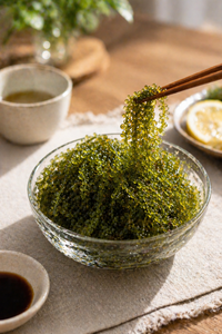 สาหร่ายทะเลสดสีเขียว Caulerpa Lentillifera สาหร่ายกินได้ บริสุทธิ์ 100% จากธรรมชาติ อาหารทะเลเพื่อสุขภาพ ผู้จัดจำหน่าย อายุการเก็บรักษา 12 เดือน แช่เย็น - Product Image 5