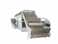 Machine de séchage à bande de maille de chips de manioc d'épices de piment et de gingembre à économie d'énergie (conception personnalisée avec une rentabilité élevée)