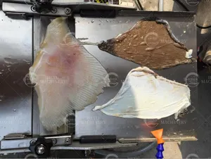 Equipo automático de procesamiento de pescado, máquina de eliminación y división de piel, máquina de eliminación de piel de pescado, máquina de eliminación de piel de pescado
