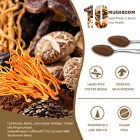 Poudre de café instantané Champignon Reishi Lions Mane Extract Support Gut Health for Energy Better Focus Organic Mushroom Coffee
