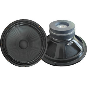 Subwoofer de 10 Pulgadas (255 mm), 200 W, 4 Ohmios, Doble Imán - Product Image 1