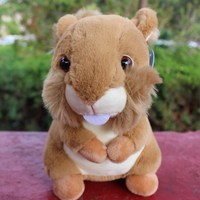 Jouets en gros Songshan : Machines à griffes de supermarché à grande queue, animaux en peluche de 8 pouces, cadeaux pour enfants, jouets en peluche écureuil brun